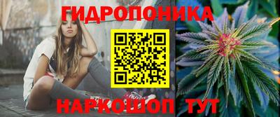ешки Абинск
