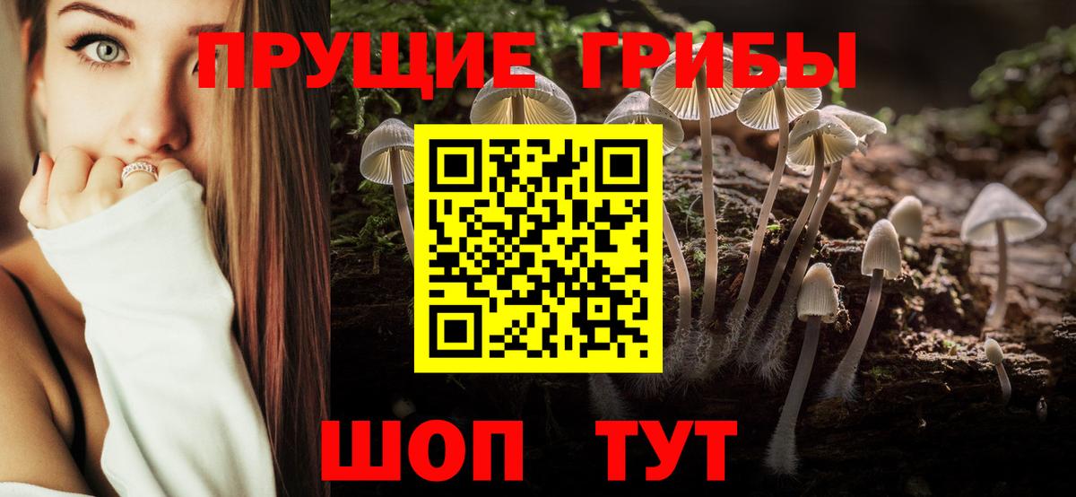 Альметьевск  Псилоцибиновые грибы Psilocybe  Вход с VPN 